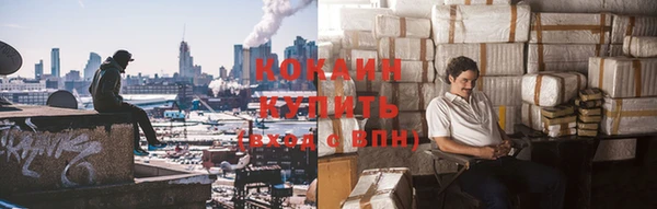 эйфоретик Няндома