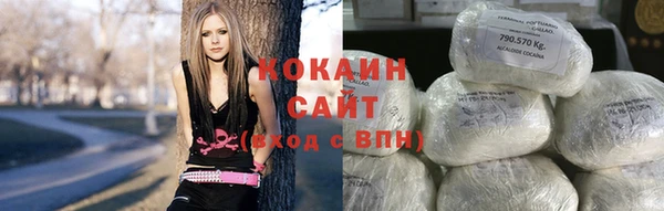 эйфоретик Няндома