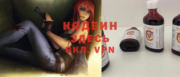 эйфоретик Няндома
