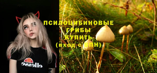 эйфоретик Няндома
