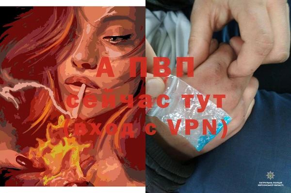 mix Новозыбков