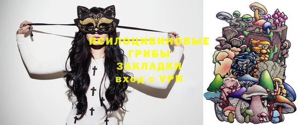 mdma Новодвинск